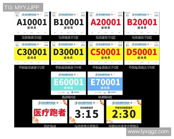 比赛 指南-比赛指南全攻略-比赛 指南